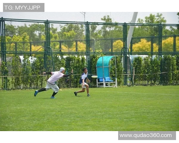 飞盘人生的追逐与热爱杨军分享他的飞盘故事与心路历程