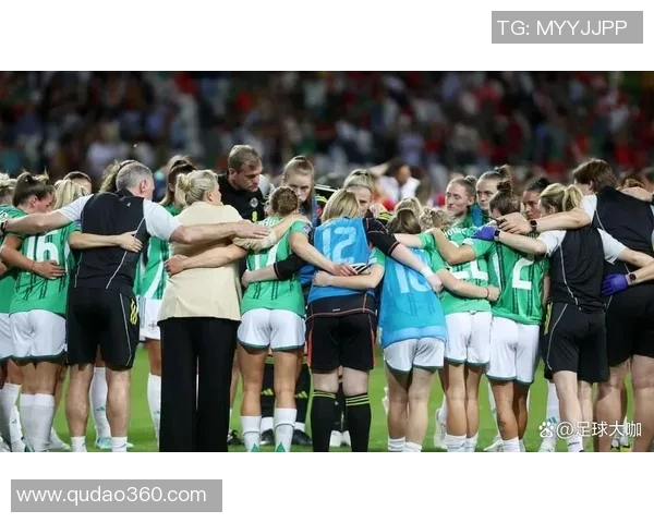 波黑与北爱尔兰激战成和比分揭晓足球赛事精彩回顾