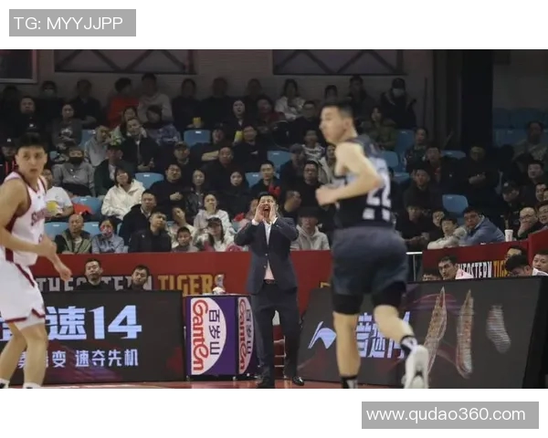 辽宁对阵吉林全场直播精彩回顾与赛后分析尽在这里